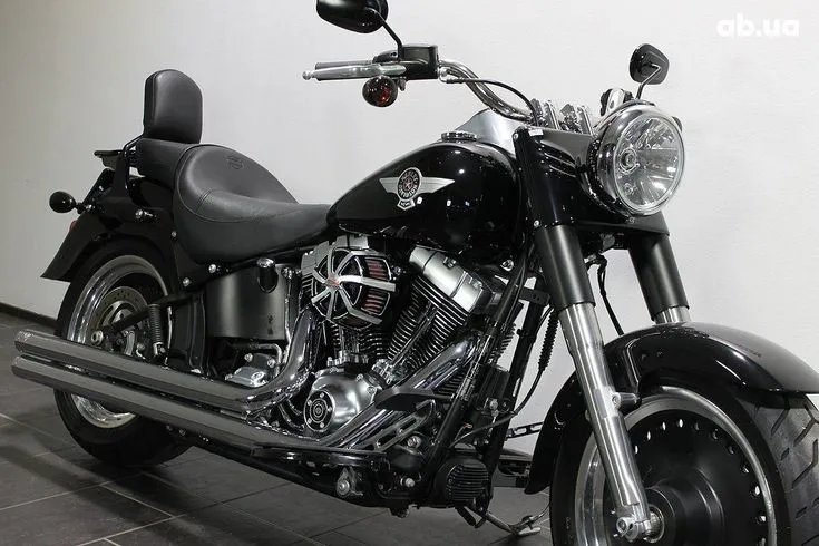 Harley-Davidson FLSTFB Image 1